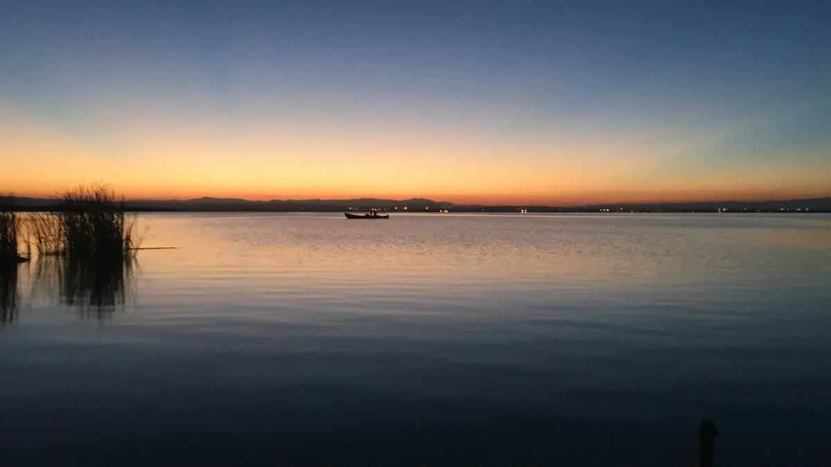 Anochecer sobre el lago de la Albufera con carrizos en primer plano