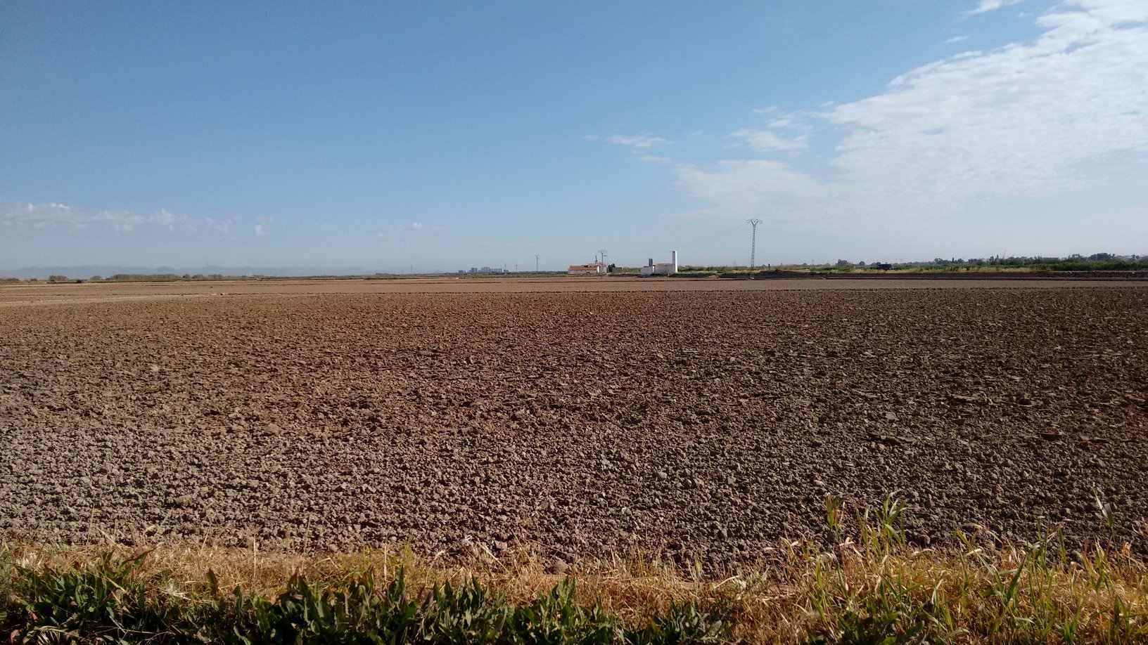 Preparación de los campos de arroz en la Albufera de Valencia