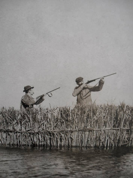 Caza en la Albufera de Valencia, tradición histórica del lago