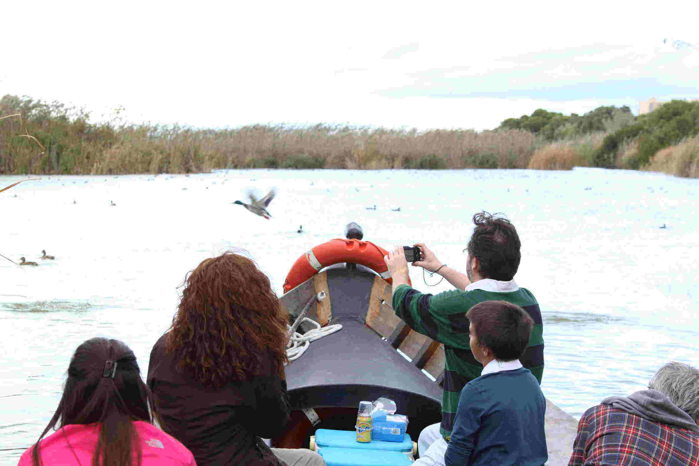Paseo en barca por la Albufera de Valencia: guía completa 2025