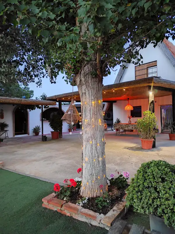 Patio con árbol iluminado y ambiente nocturno cálido en embarcadero Albufera