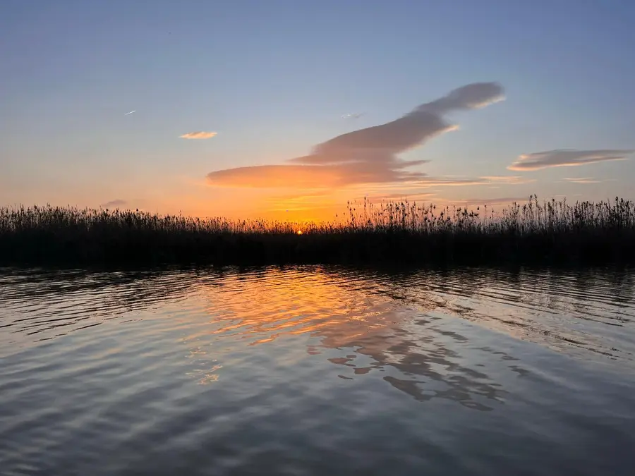 Sol poniéndose entre los carrizos con reflejo dorado en la Albufera de Valencia